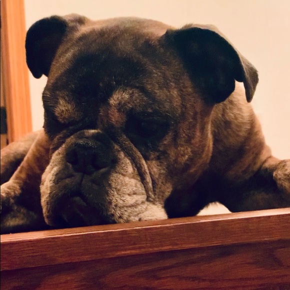 Meet your Posher, Kim - Picture 1 of 1